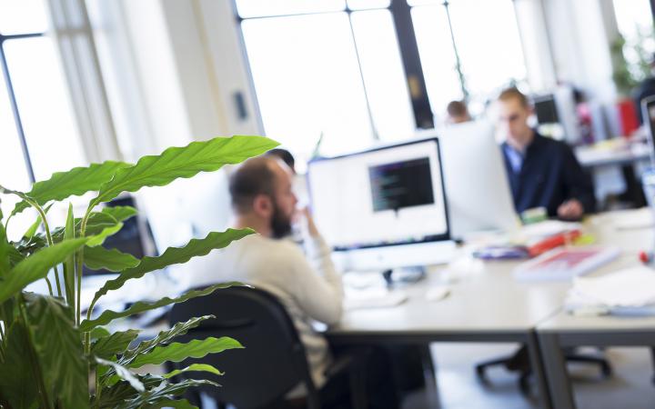 e-commerce consultancy medewerkers werken aan cases op het kantoor van Madia