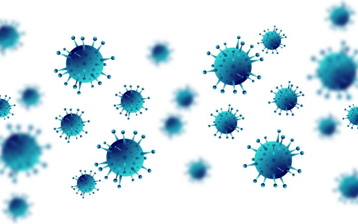 Corona Virus