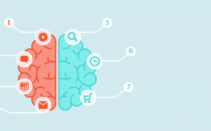 Brain met 7 labels om de principes van Cialdini te laten zien