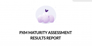 PXM Maturity assessment results