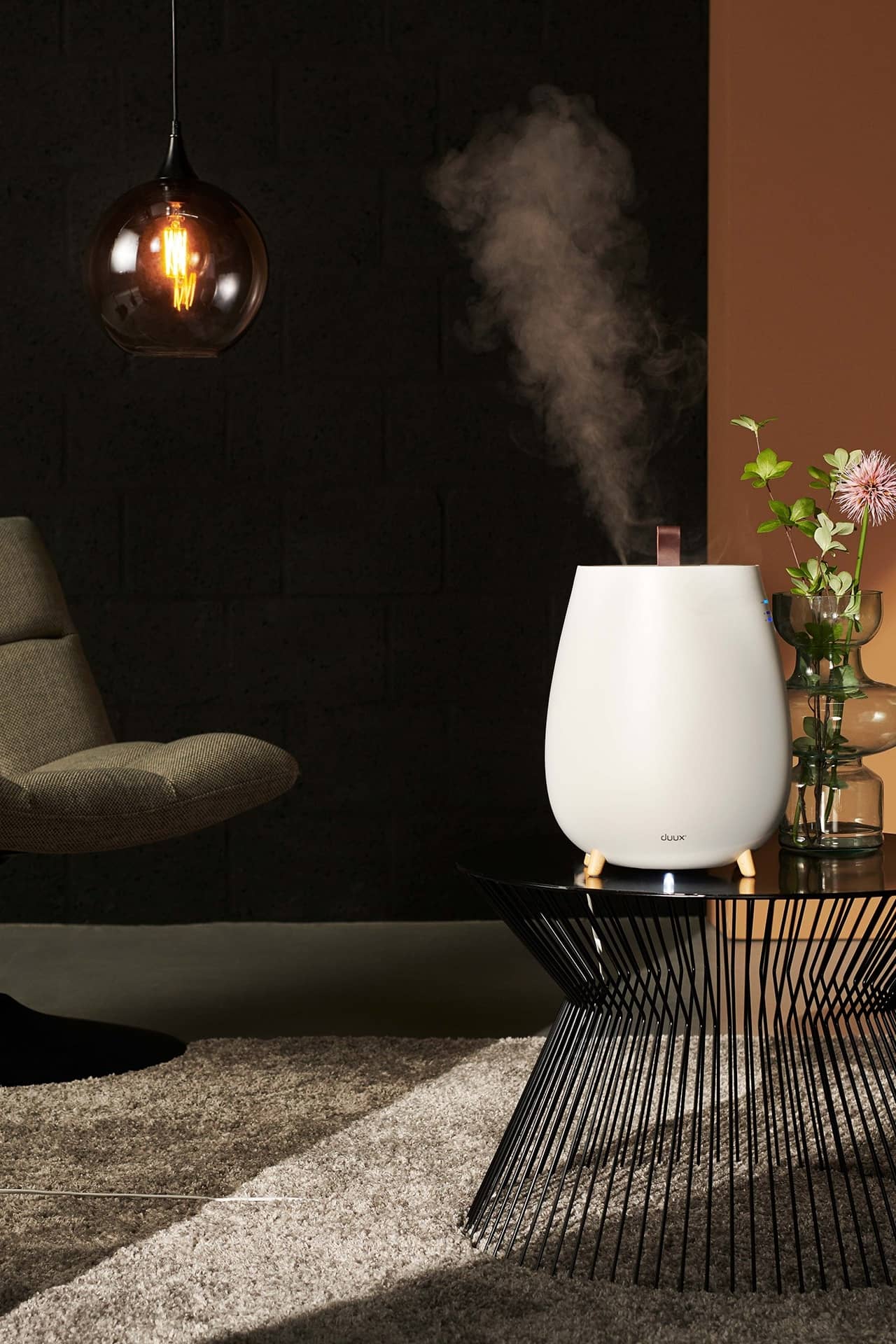 duux humidifier in living room