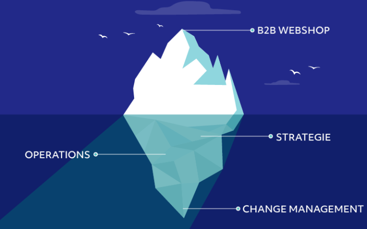 B2B webshop als een ijsberg