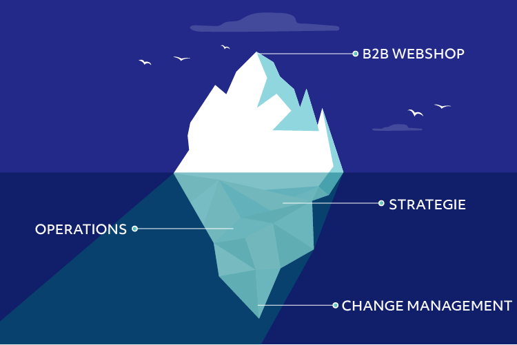 B2B webshop als een ijsberg